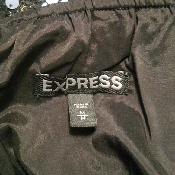 Express  Sequin  Dress - Picture 5 of 7